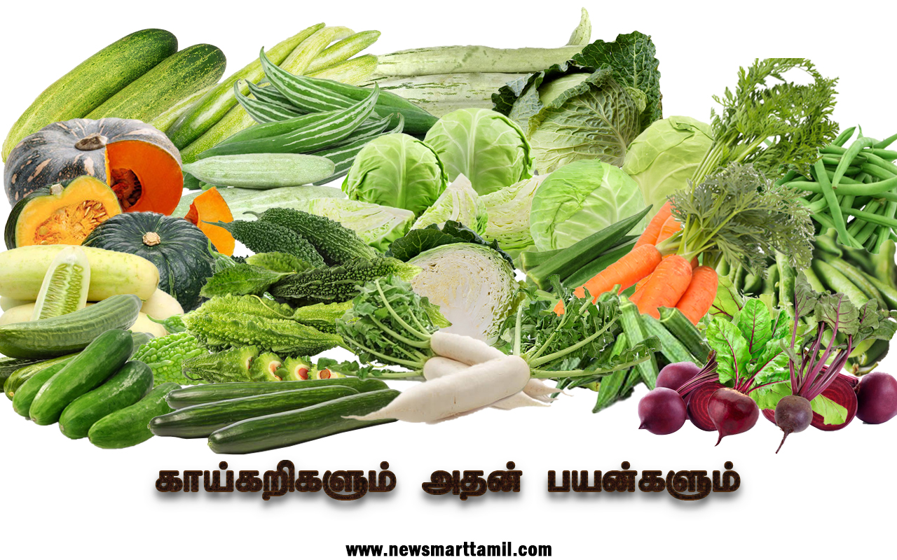 Vegetable benefits in Tamil